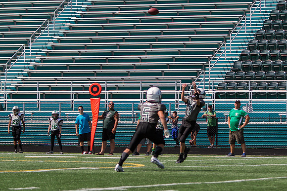 Mayfield v Nordonia