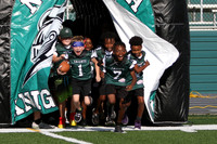 Green & White Day