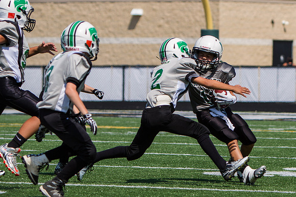 Mayfield v Nordonia