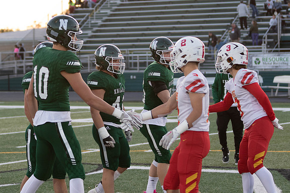 Brecksville Bees At Knights-6566
