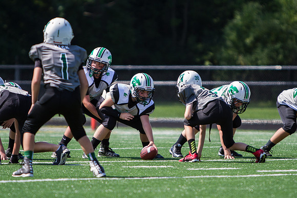 Mayfield v Nordonia
