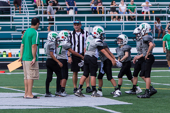 Mayfield v Nordonia
