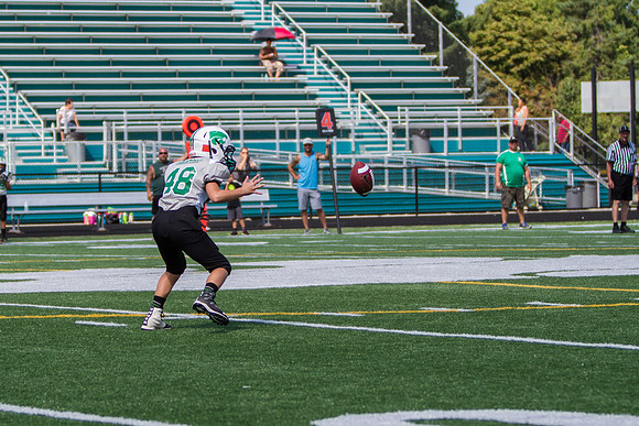 Mayfield v Nordonia