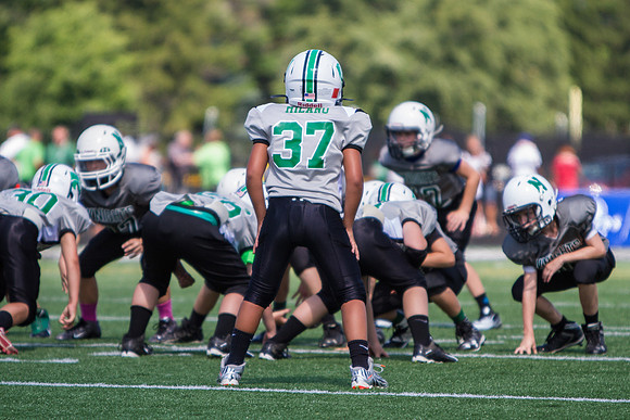 Mayfield v Nordonia