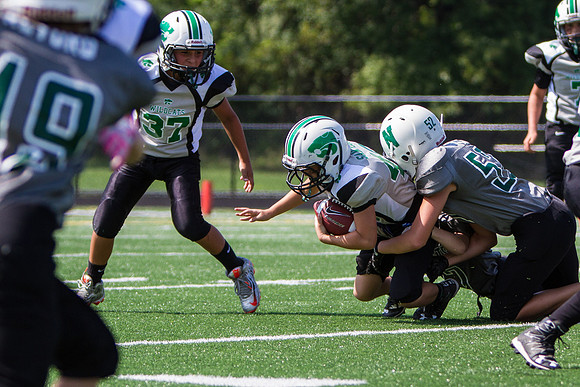 Mayfield v Nordonia